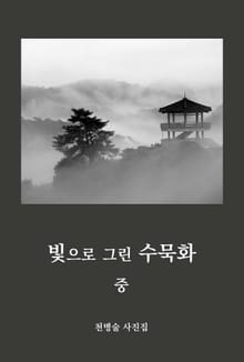 빛으로 그린 수묵화 중