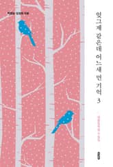 엊그제 같은데 어느새 먼 기억 3 표지 이미지