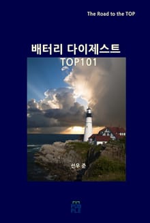 배터리 다이제스트 TOP101