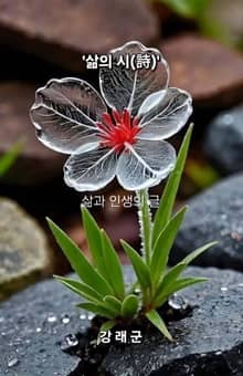 삶의 시(詩)
