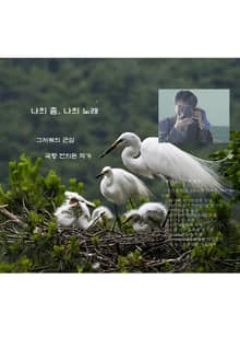 나의 춤, 나의 노래