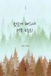 첫눈에 대하여(영문 포함본) 표지 이미지