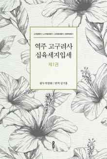 역주 고구려사 십육세지입세 제1권