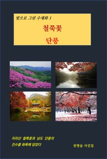 빛으로 그린 수채화 1 철쭉꽃 단풍