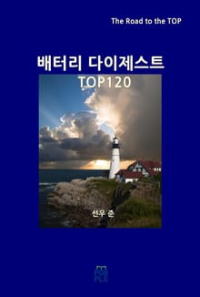 배터리 다이제스트 TOP120
