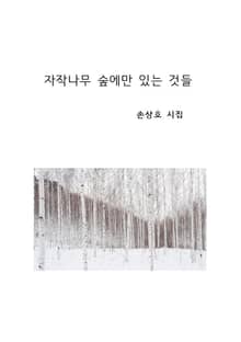 자작나무 숲에만 있는 것들