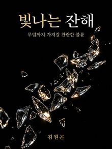 빛나는 잔해
