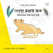 다양한 표현적 형태