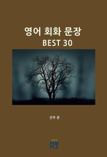 영어 회화 문장 BEST 30