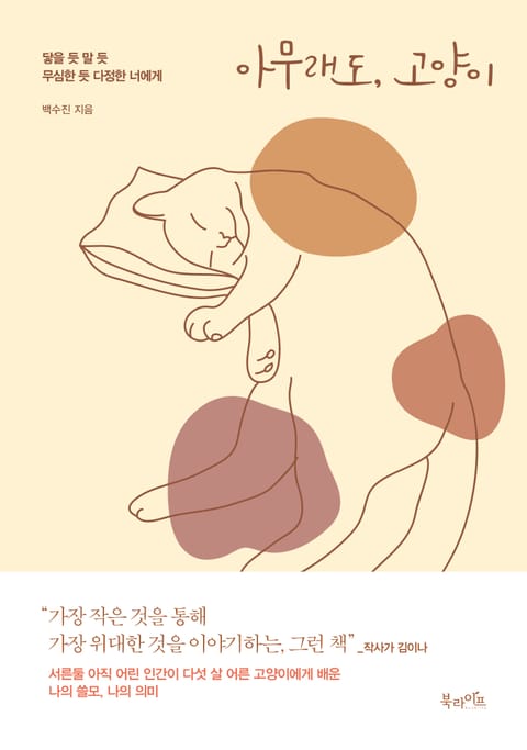 아무래도, 고양이 표지 이미지