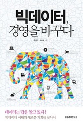 빅데이터, 경영을 바꾸다 표지 이미지