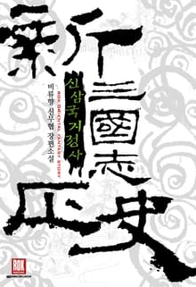 신삼국지정사