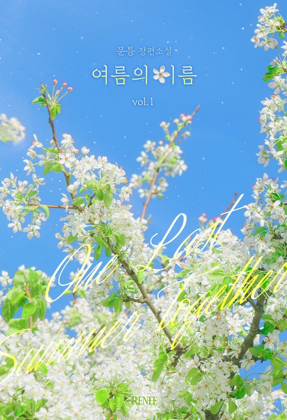 여름의 이름 1권