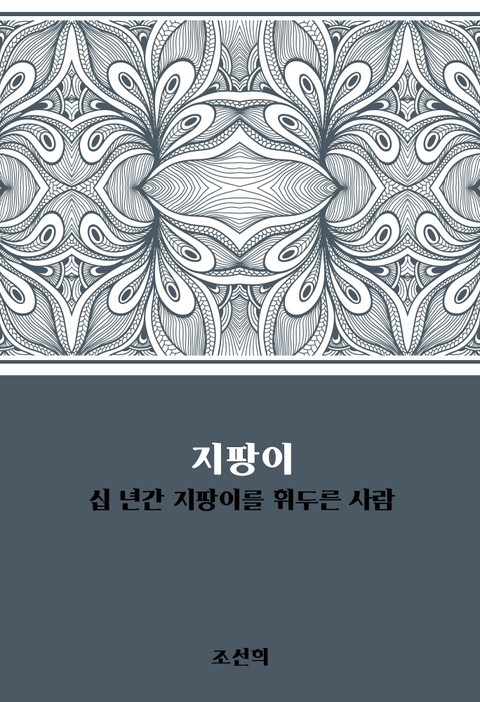 지팡이 : 십 년간 지팡이를 휘두른 사람 표지 이미지