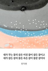 내가 꾸는 꿈의 잠은 미친 꿈이 잠든 꿈이고 네가 잠든 잠의 꿈은 죽은 잠이 꿈꾼 잠이다 표지 이미지