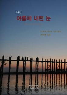여름에 내린 눈