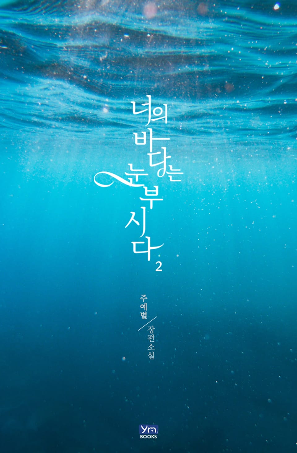 너의 바다는 눈부시다 2권 (완결)