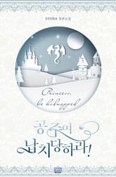 공주여 납치당하라! 표지 이미지