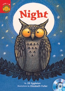 Night