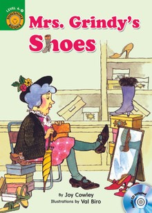 Mrs. Grindy's Shoes