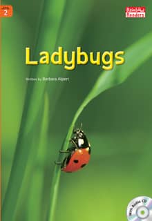 Ladybugs