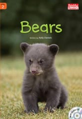 Bears 표지 이미지