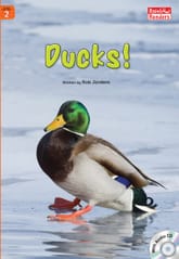 Ducks! 표지 이미지