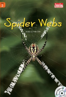 Spider Webs