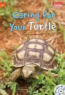 Caring For Your Turtle