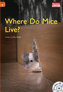 Where Do Mice Live?