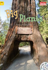 Big Plants 표지 이미지