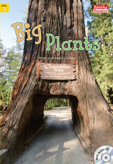 Big Plants