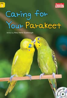 Caring For Your Parakeet