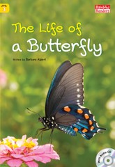 The Life of a Butterfly 표지 이미지