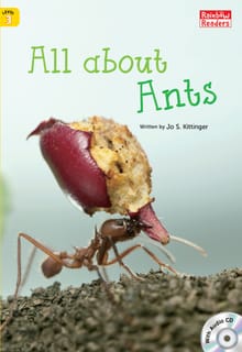 All about Ants