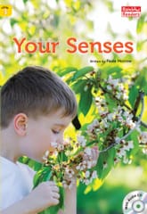 Your Senses 표지 이미지