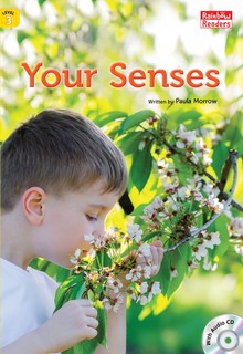 Your Senses