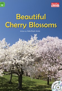 Beautiful Cherry Blossoms