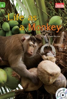 Life as a Monkey
