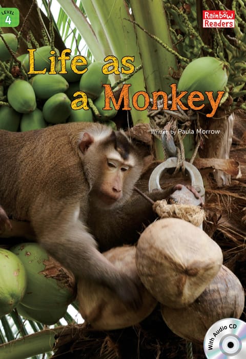 Life as a Monkey 표지 이미지