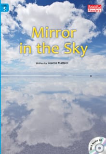 Mirror in the Sky