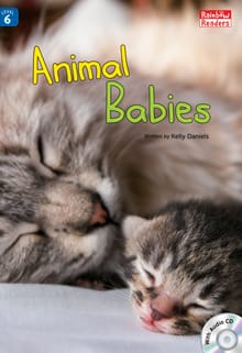 Animal Babies