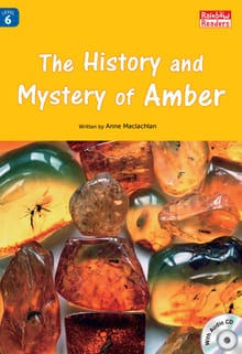 The History and Mystery of Amber