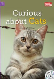 Curious about Cats