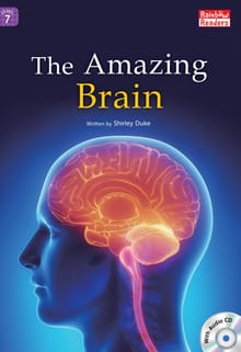 The Amazing Brain