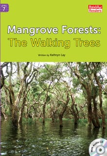 Mangrove Forests: The Walking Trees