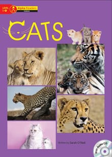 Cats