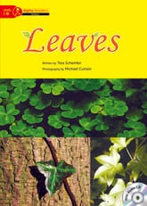 Leaves 표지 이미지