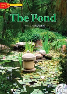 The Pond