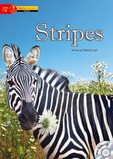 Stripes 표지 이미지